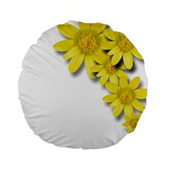 Flowers Spring Yellow Spring Onion Standard 15  Premium Round Cushions by Nexatart