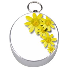 Flowers Spring Yellow Spring Onion Silver Compasses by Nexatart