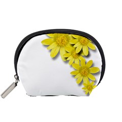 Flowers Spring Yellow Spring Onion Accessory Pouches (small)  by Nexatart