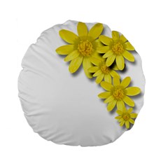 Flowers Spring Yellow Spring Onion Standard 15  Premium Flano Round Cushions by Nexatart