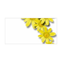 Flowers Spring Yellow Spring Onion Yoga Headband by Nexatart