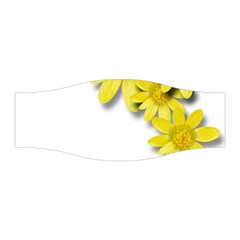 Flowers Spring Yellow Spring Onion Stretchable Headband