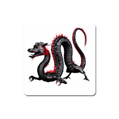 Dragon Black Red China Asian 3d Square Magnet by Nexatart