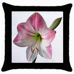 Flower Blossom Bloom Amaryllis Throw Pillow Case (black) by Nexatart