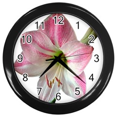 Flower Blossom Bloom Amaryllis Wall Clocks (black) by Nexatart