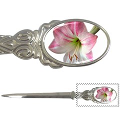 Flower Blossom Bloom Amaryllis Letter Openers by Nexatart