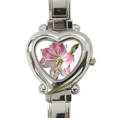 Flower Blossom Bloom Amaryllis Heart Italian Charm Watch by Nexatart