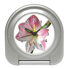 Flower Blossom Bloom Amaryllis Travel Alarm Clocks by Nexatart