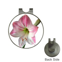 Flower Blossom Bloom Amaryllis Hat Clips With Golf Markers by Nexatart