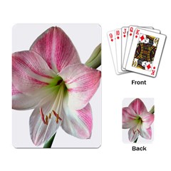 Flower Blossom Bloom Amaryllis Playing Card by Nexatart