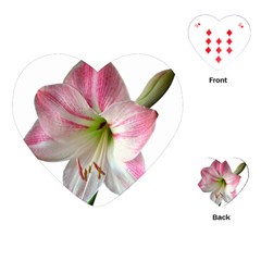 Flower Blossom Bloom Amaryllis Playing Cards (heart)  by Nexatart