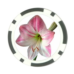 Flower Blossom Bloom Amaryllis Poker Chip Card Guard by Nexatart