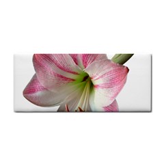 Flower Blossom Bloom Amaryllis Cosmetic Storage Cases by Nexatart