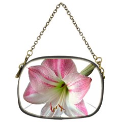 Flower Blossom Bloom Amaryllis Chain Purses (two Sides)  by Nexatart