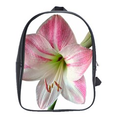 Flower Blossom Bloom Amaryllis School Bags(large)  by Nexatart