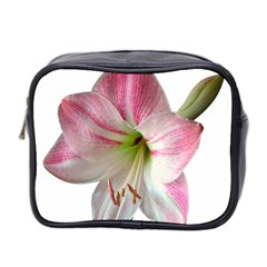 Flower Blossom Bloom Amaryllis Mini Toiletries Bag 2-side by Nexatart