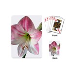 Flower Blossom Bloom Amaryllis Playing Cards (Mini)  Back