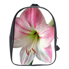 Flower Blossom Bloom Amaryllis School Bags (xl)  by Nexatart