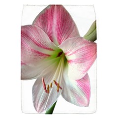 Flower Blossom Bloom Amaryllis Flap Covers (s)  by Nexatart