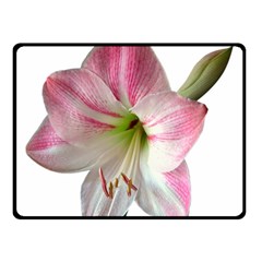 Flower Blossom Bloom Amaryllis Double Sided Fleece Blanket (small)  by Nexatart