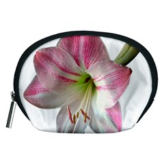 Flower Blossom Bloom Amaryllis Accessory Pouches (medium)  by Nexatart