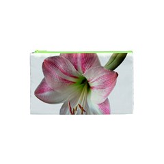 Flower Blossom Bloom Amaryllis Cosmetic Bag (xs) by Nexatart