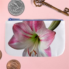 Flower Blossom Bloom Amaryllis Large Coin Purse by Nexatart