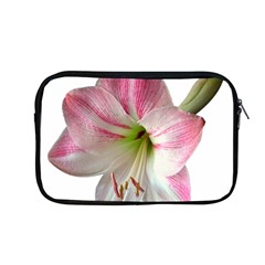 Flower Blossom Bloom Amaryllis Apple Macbook Pro 13  Zipper Case by Nexatart