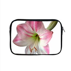 Flower Blossom Bloom Amaryllis Apple Macbook Pro 15  Zipper Case by Nexatart