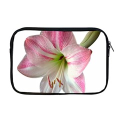 Flower Blossom Bloom Amaryllis Apple Macbook Pro 17  Zipper Case by Nexatart