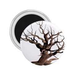 Tree Isolated Dead Plant Weathered 2 25  Magnets by Nexatart