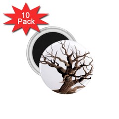 Tree Isolated Dead Plant Weathered 1 75  Magnets (10 Pack)  by Nexatart