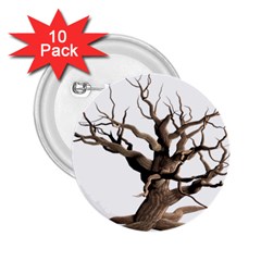 Tree Isolated Dead Plant Weathered 2 25  Buttons (10 Pack)  by Nexatart