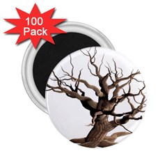 Tree Isolated Dead Plant Weathered 2 25  Magnets (100 Pack)  by Nexatart