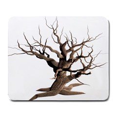 Tree Isolated Dead Plant Weathered Large Mousepads