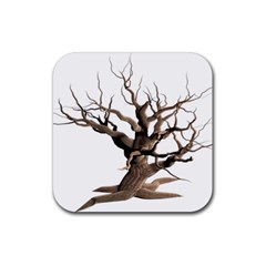 Tree Isolated Dead Plant Weathered Rubber Coaster (square)  by Nexatart