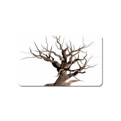 Tree Isolated Dead Plant Weathered Magnet (name Card) by Nexatart