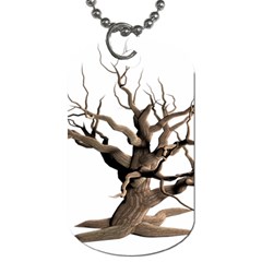 Tree Isolated Dead Plant Weathered Dog Tag (two Sides) by Nexatart