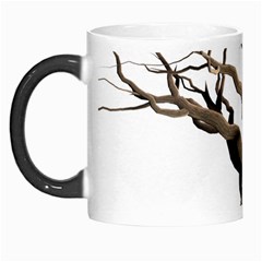 Tree Isolated Dead Plant Weathered Morph Mugs by Nexatart