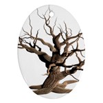 Tree Isolated Dead Plant Weathered Oval Ornament (Two Sides) Front