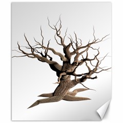 Tree Isolated Dead Plant Weathered Canvas 8  X 10  by Nexatart