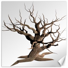 Tree Isolated Dead Plant Weathered Canvas 20  X 20   by Nexatart