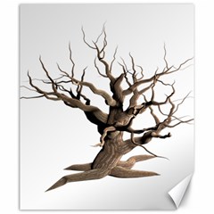 Tree Isolated Dead Plant Weathered Canvas 20  X 24  