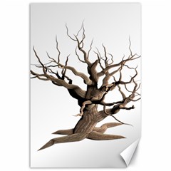 Tree Isolated Dead Plant Weathered Canvas 24  X 36  by Nexatart