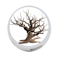 Tree Isolated Dead Plant Weathered 4-port Usb Hub (one Side) by Nexatart