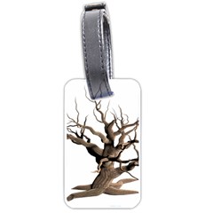 Tree Isolated Dead Plant Weathered Luggage Tags (one Side)  by Nexatart