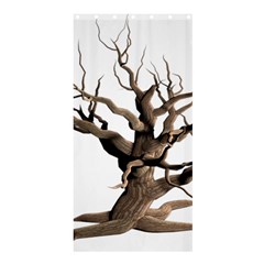 Tree Isolated Dead Plant Weathered Shower Curtain 36  X 72  (stall)  by Nexatart