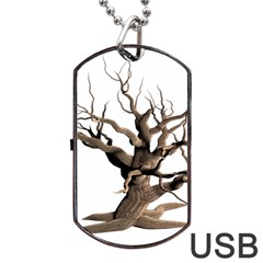 Tree Isolated Dead Plant Weathered Dog Tag Usb Flash (two Sides) by Nexatart