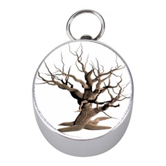 Tree Isolated Dead Plant Weathered Mini Silver Compasses by Nexatart