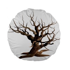 Tree Isolated Dead Plant Weathered Standard 15  Premium Flano Round Cushions